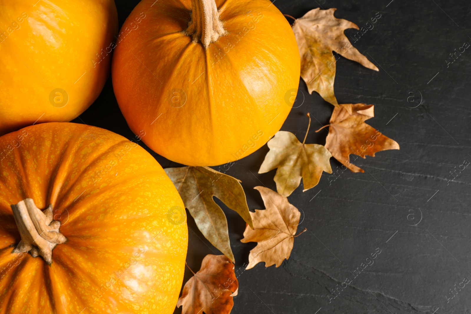 Ripe pumpkins and autumn leaves on black table, above view Photo of Ripe pumpkins and autumn leaves on black table, above view