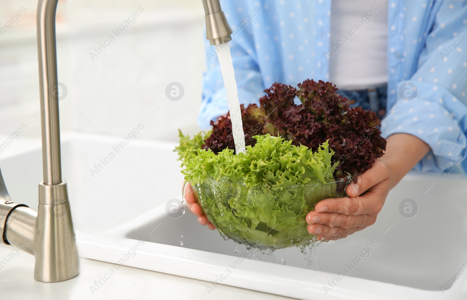Woman washing fresh lettuce in kitchen sink, closeup Photo of Woman washing fresh lettuce in kitchen sink, closeup
