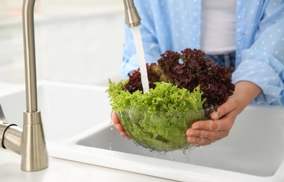 Photo of Woman washing fresh lettuce in kitchen sink, closeup