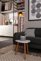 Modern wardrobe room interior with stylish furniture Photo of Modern wardrobe room interior with stylish furniture