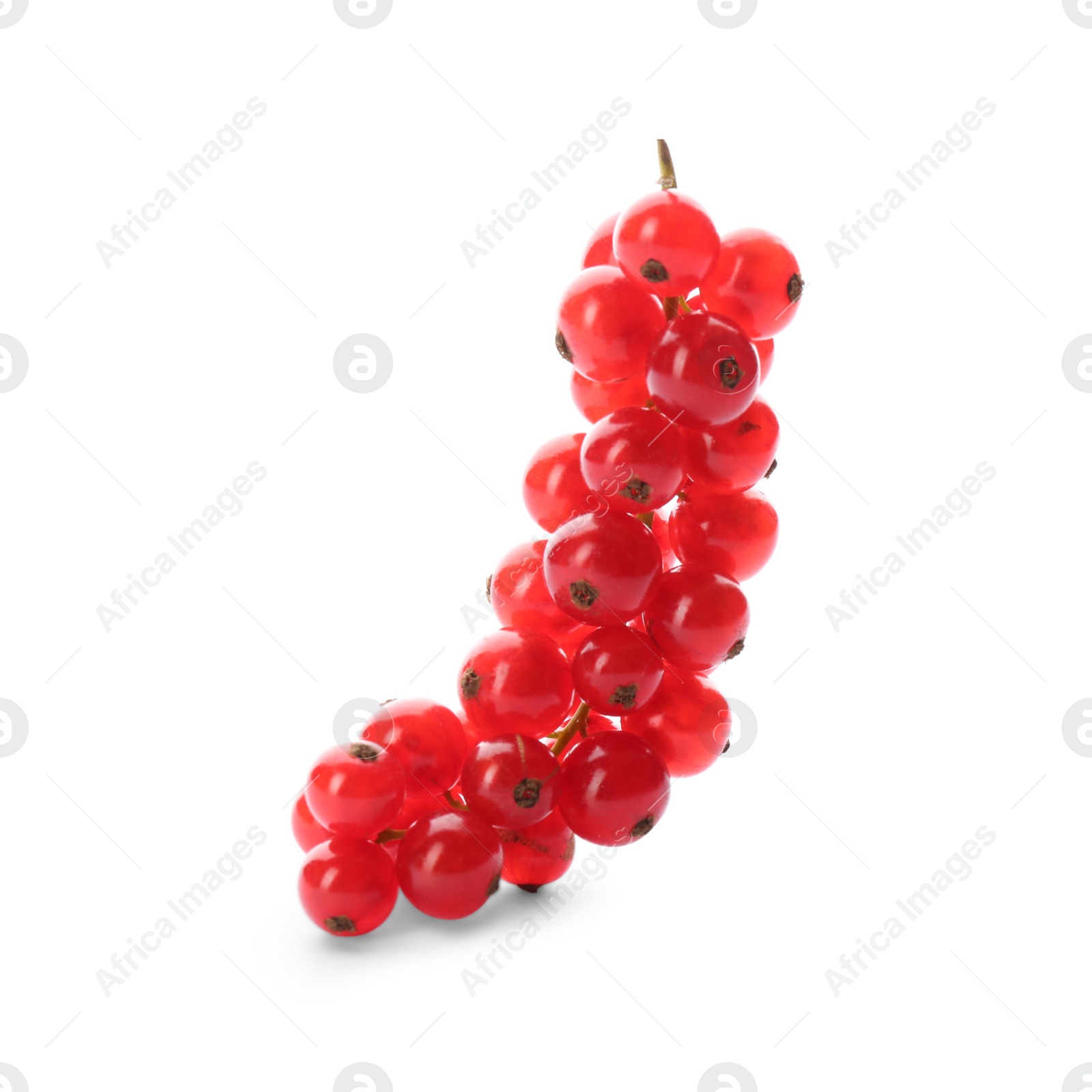 Delicious ripe red currants isolated on white Photo of Delicious ripe red currants isolated on white
