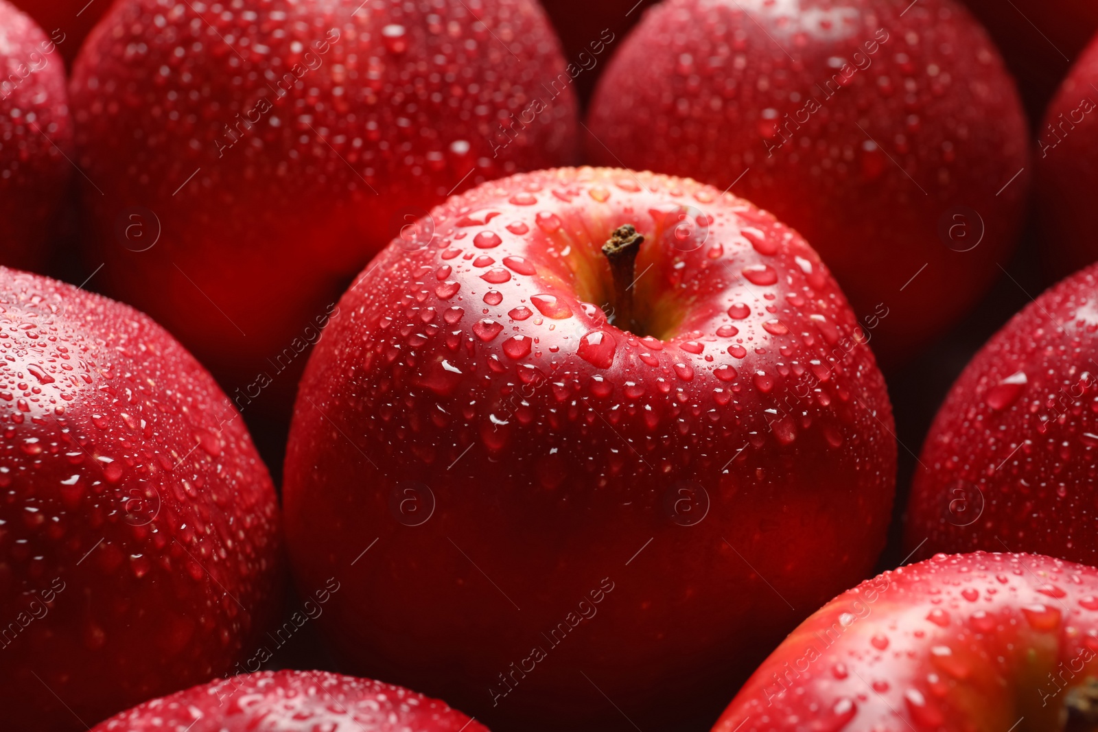 Fresh red apples with drops of water, closeup Photo of Fresh red apples with drops of water, closeup