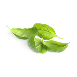 Photo of Fresh green basil leaves isolated on white
