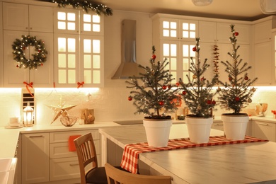 Small Christmas trees and festive decor in kitchen Photo of Small Christmas trees and festive decor in kitchen