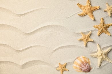 Beautiful sea stars and shell on sand, flat lay. Space for text Photo of Beautiful sea stars and shell on sand, flat lay. Space for text