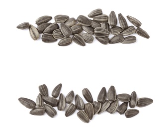 Raw sunflower seeds on white background, top view Photo of Raw sunflower seeds on white background, top view