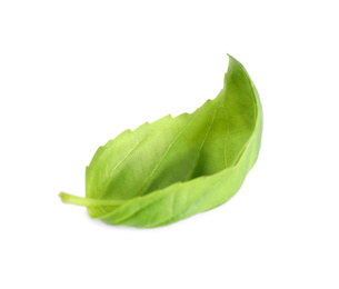 Photo of Fresh green basil leaf isolated on white
