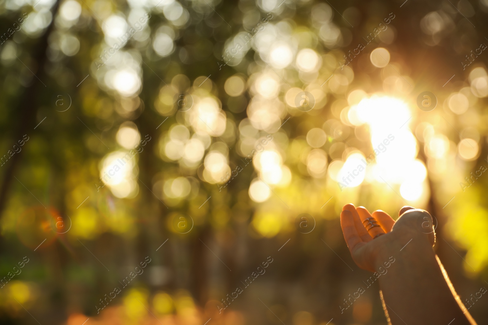 Young woman enjoying beautiful sunset, closeup view with space for text. Nature healing power Photo of Young woman enjoying beautiful sunset, closeup view with space for text. Nature healing power