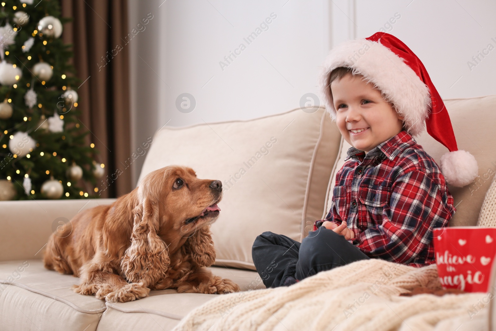 Photo of Cute little boy with English Cocker Spaniel in room decorated for Christmas