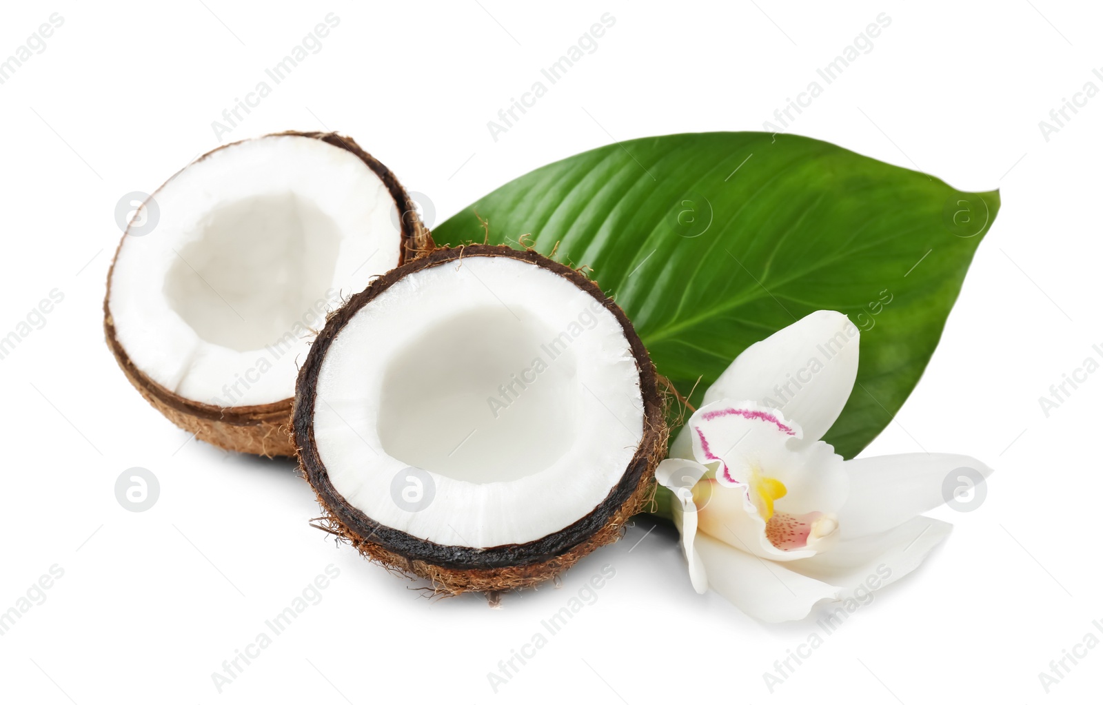 Coconuts with fresh water on white background Photo of Coconuts with fresh water on white background