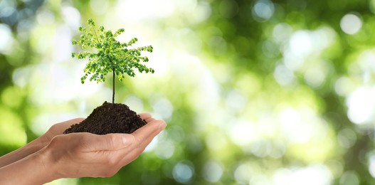 Woman holding pile of soil with small tree on blurred green background, closeup. Eco friendly lifestyle Image of Woman holding pile of soil with small tree on blurred green background, closeup. Eco friendly lifestyle