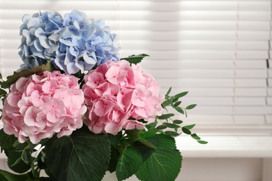 Beautiful hortensia flowers indoors. Space for text Photo of Beautiful hortensia flowers indoors. Space for text
