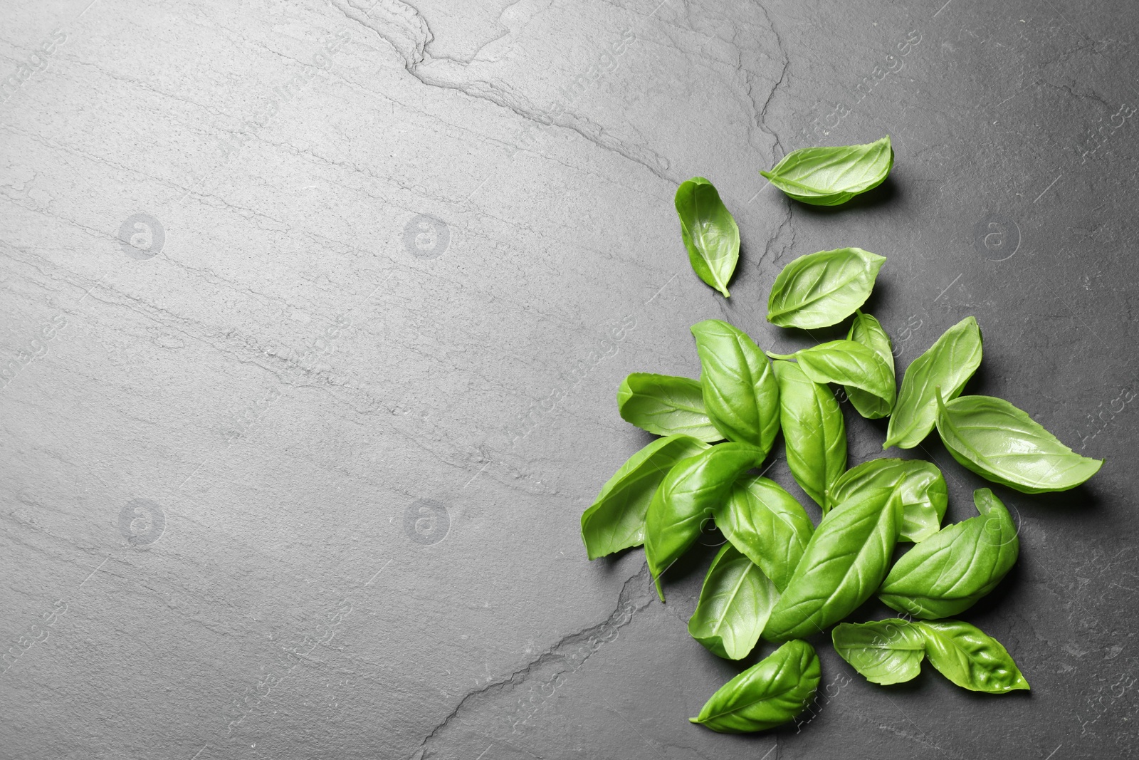 Fresh basil on grey table, flat lay. Space for text Photo of Fresh basil on grey table, flat lay. Space for text