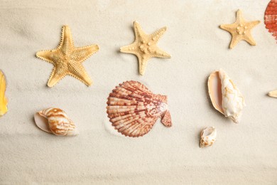 Beautiful sea stars and shells on sand, flat lay Photo of Beautiful sea stars and shells on sand, flat lay