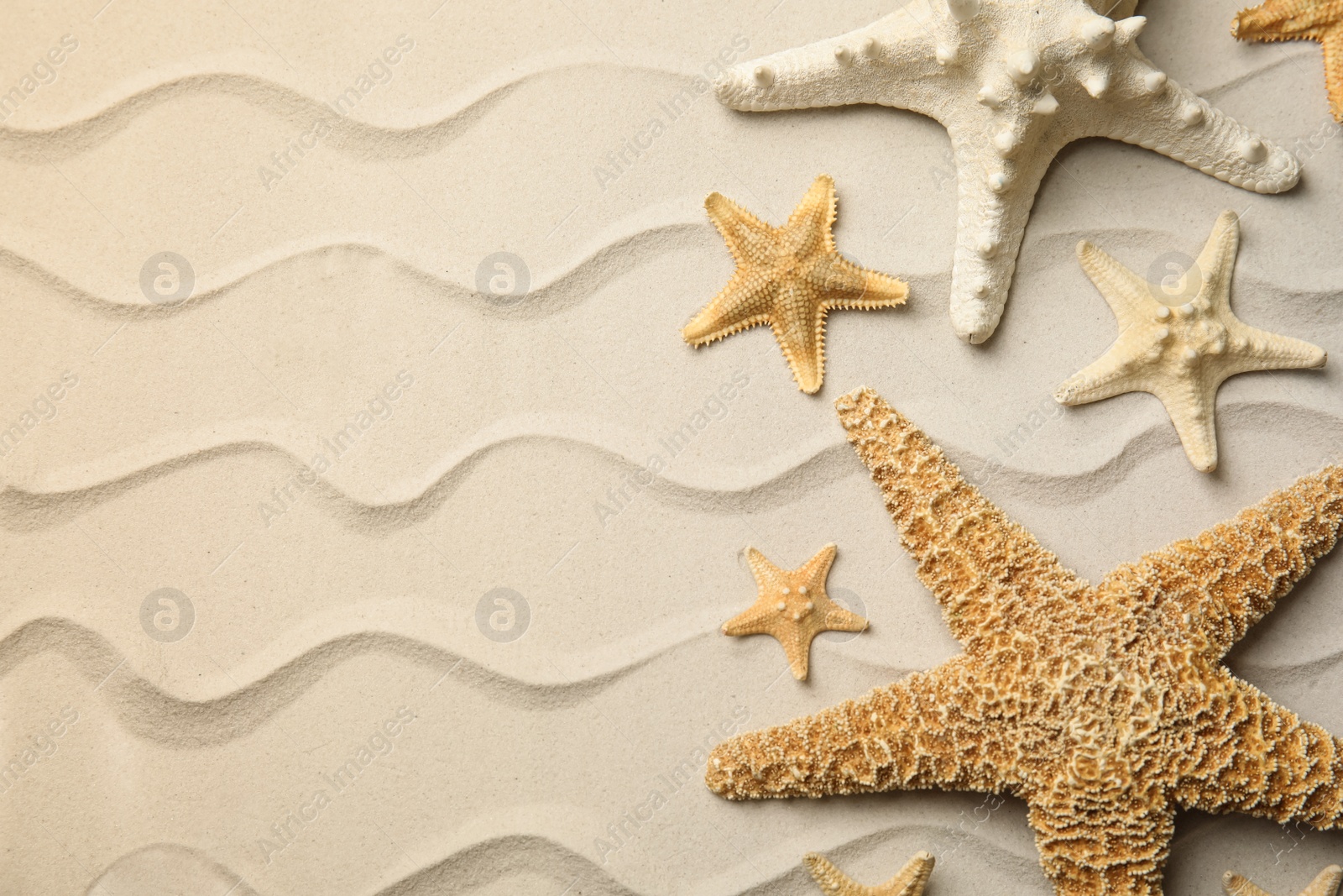 Beautiful sea stars on sand, flat lay. Space for text Photo of Beautiful sea stars on sand, flat lay. Space for text