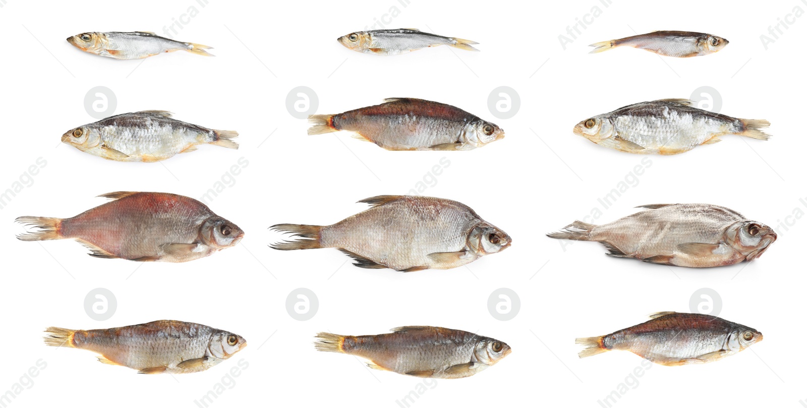 Image of Set of tasty dry fish on white background