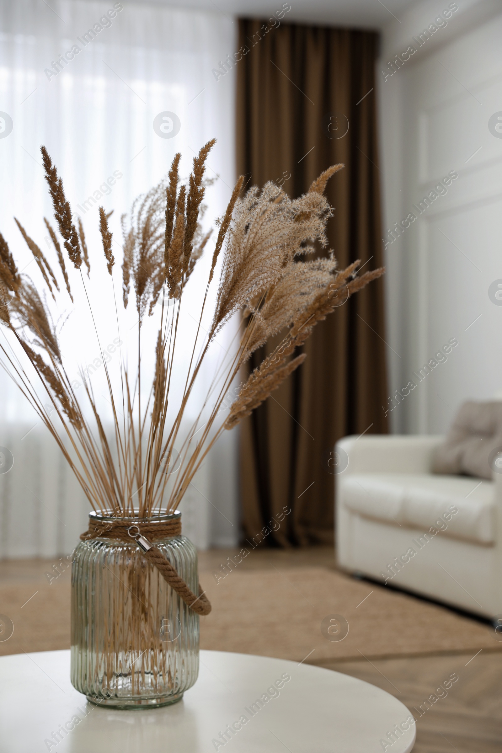 Fluffy reed plumes on white table in living room interior Photo of Fluffy reed plumes on white table in living room interior