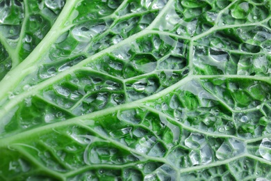 Leaf of fresh savoy cabbage as background, closeup Photo of Leaf of fresh savoy cabbage as background, closeup
