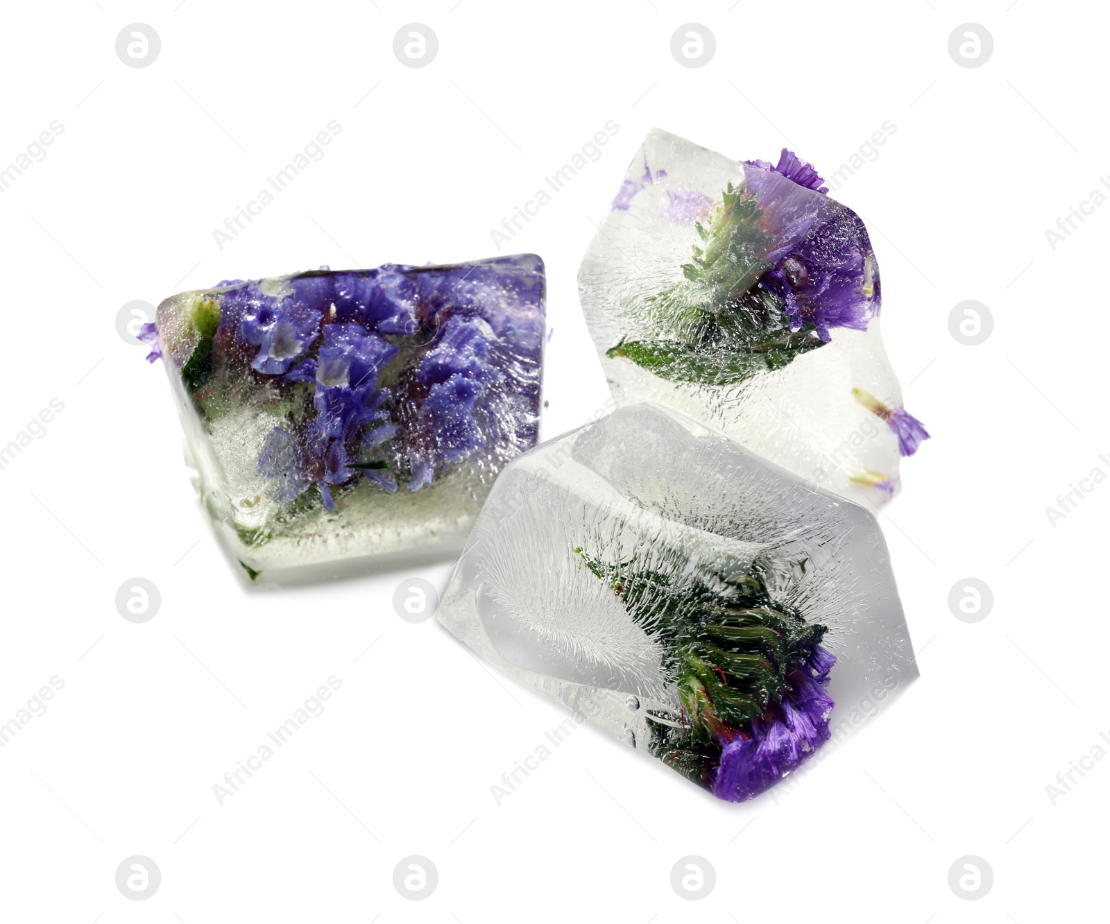 Ice cubes with flowers on white background Image of Ice cubes with flowers on white background