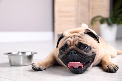 Cute pug dog suffering from heat stroke near bowl of water on floor at home Photo of Cute pug dog suffering from heat stroke near bowl of water on floor at home
