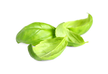 Fresh green basil leaves isolated on white Photo of Fresh green basil leaves isolated on white