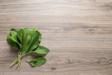 Green broadleaf plantain leaves on wooden table, top view. Space for text Photo of Green broadleaf plantain leaves on wooden table, top view. Space for text