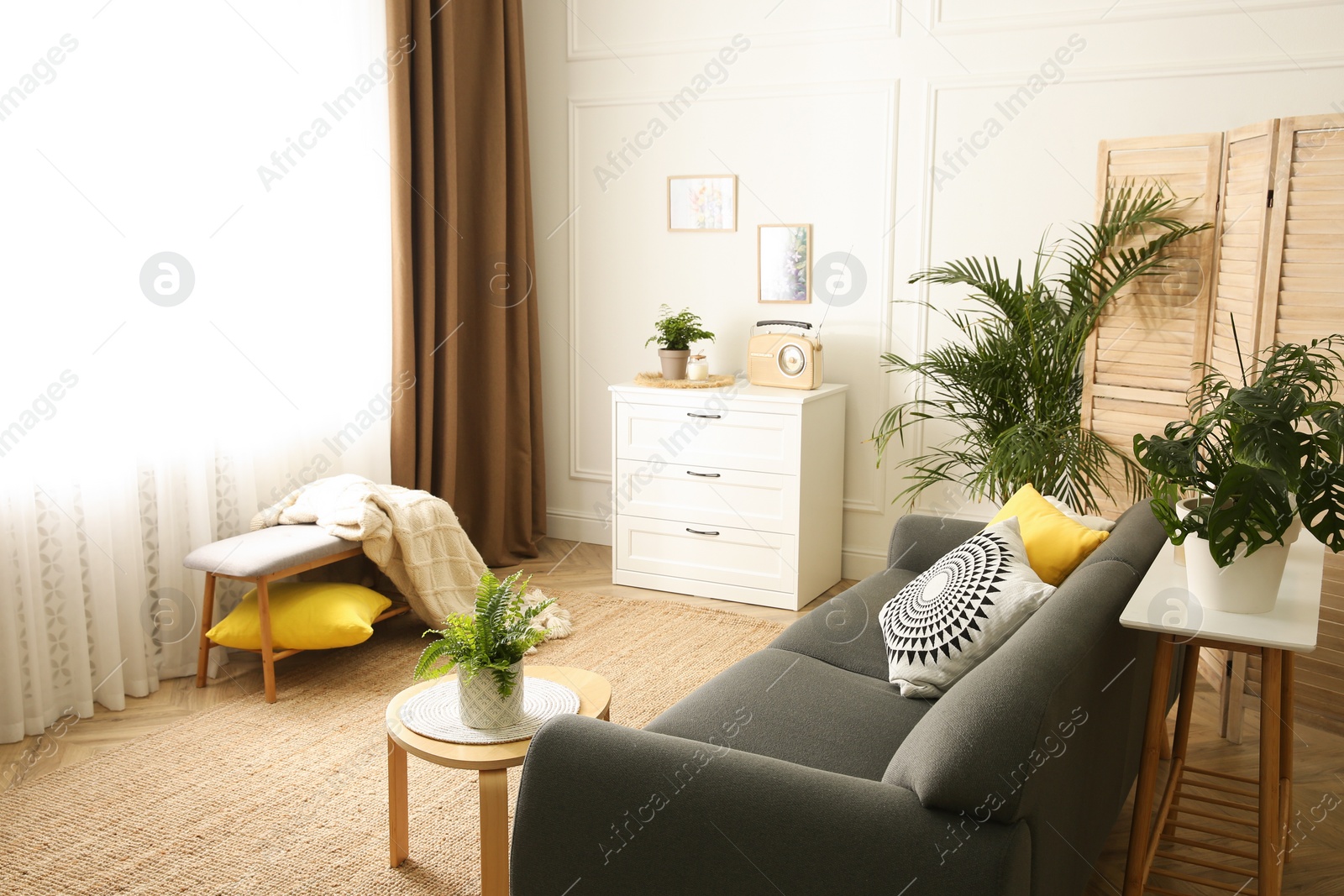 Stylish living room interior with comfortable sofa Photo of Stylish living room interior with comfortable sofa