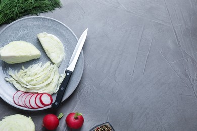 Cut cabbage and radish on grey table, flat lay. Space for text Photo of Cut cabbage and radish on grey table, flat lay. Space for text