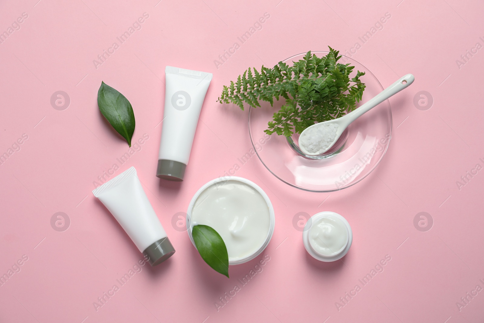 Different skin care cosmetic products with green leaves on color background, top view Photo of Different skin care cosmetic products with green leaves on color background, top view