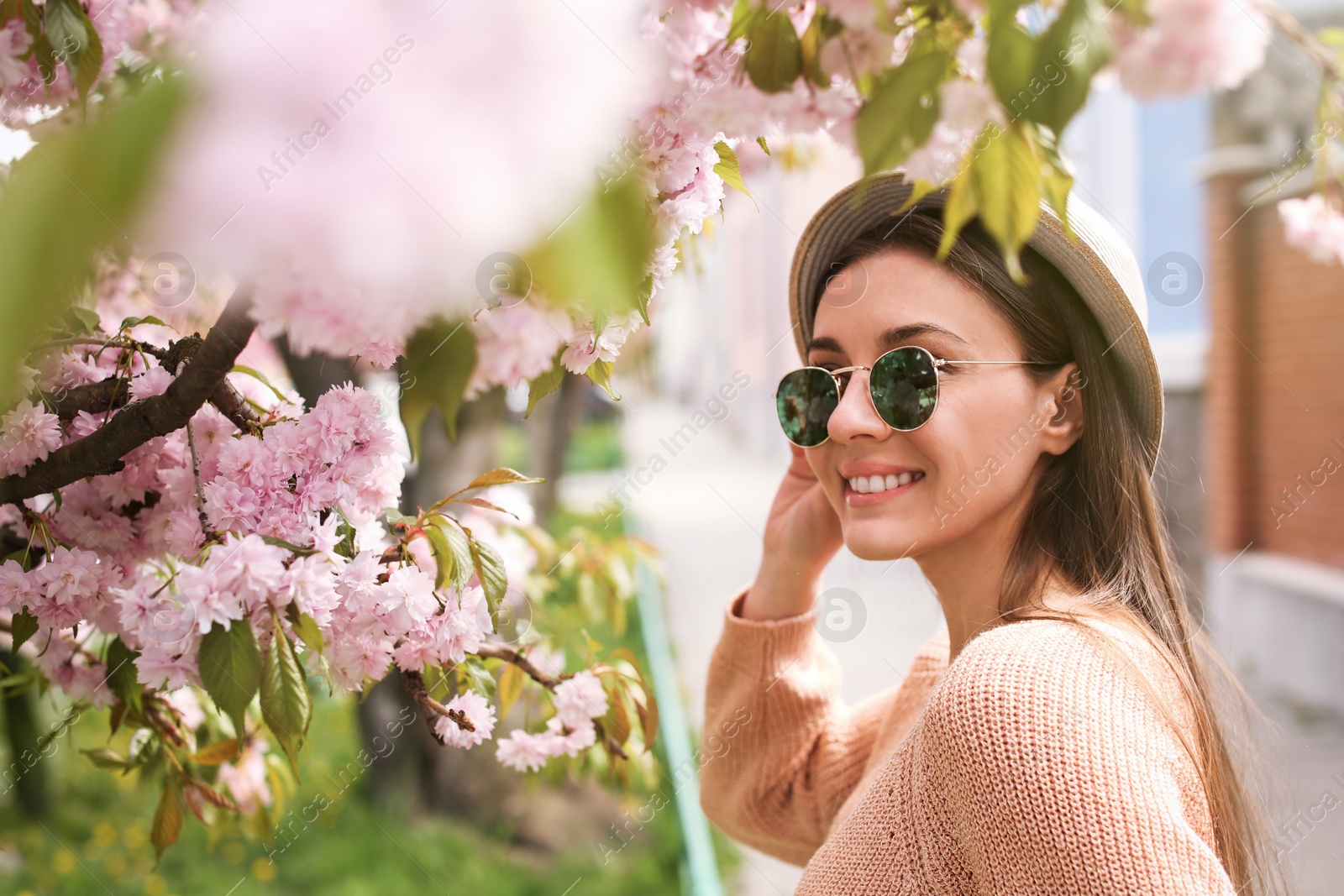 Happy stylish young woman near blossoming sakura tree outdoors. Spring look Photo of Happy stylish young woman near blossoming sakura tree outdoors. Spring look