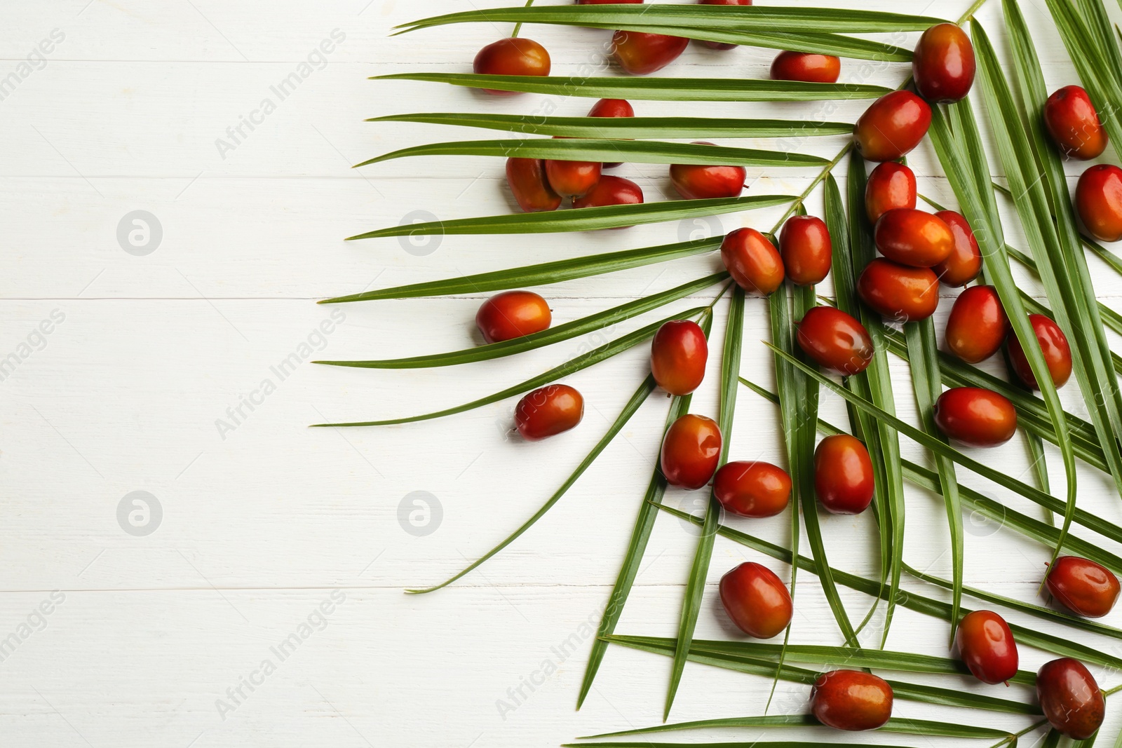 Palm oil fruits on white wooden table, flat lay. Space for text Photo of Palm oil fruits on white wooden table, flat lay. Space for text