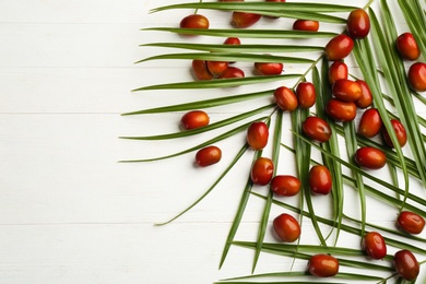 Palm oil fruits on white wooden table, flat lay. Space for text Photo of Palm oil fruits on white wooden table, flat lay. Space for text