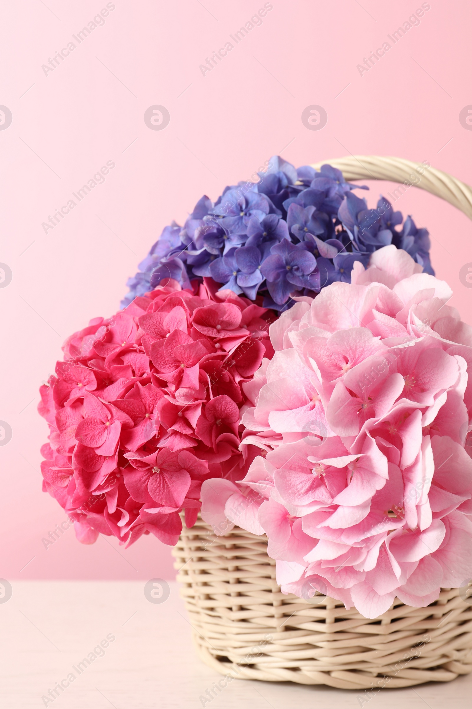 Bouquet with beautiful hortensia flowers in wicker basket on white wooden table Photo of Bouquet with beautiful hortensia flowers in wicker basket on white wooden table