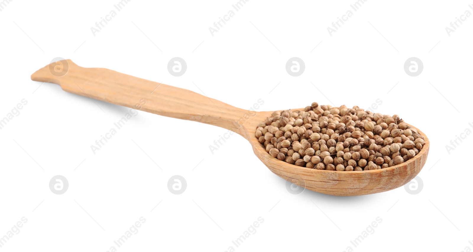 Dried coriander seeds with wooden spoon isolated on white Photo of Dried coriander seeds with wooden spoon isolated on white