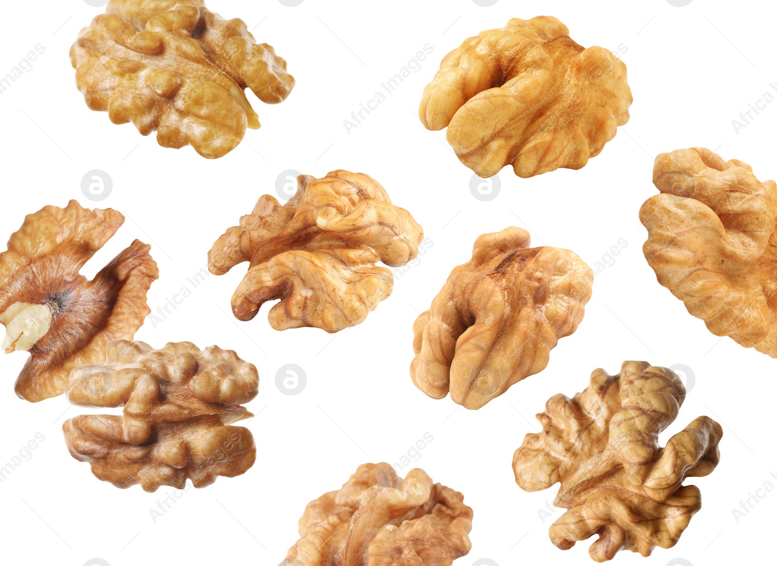 Halves of walnuts falling on white background Image of Halves of walnuts falling on white background