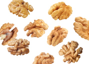 Halves of walnuts falling on white background Image of Halves of walnuts falling on white background