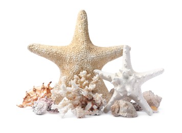 Beautiful sea stars, coral and seashells on white background Photo of Beautiful sea stars, coral and seashells on white background