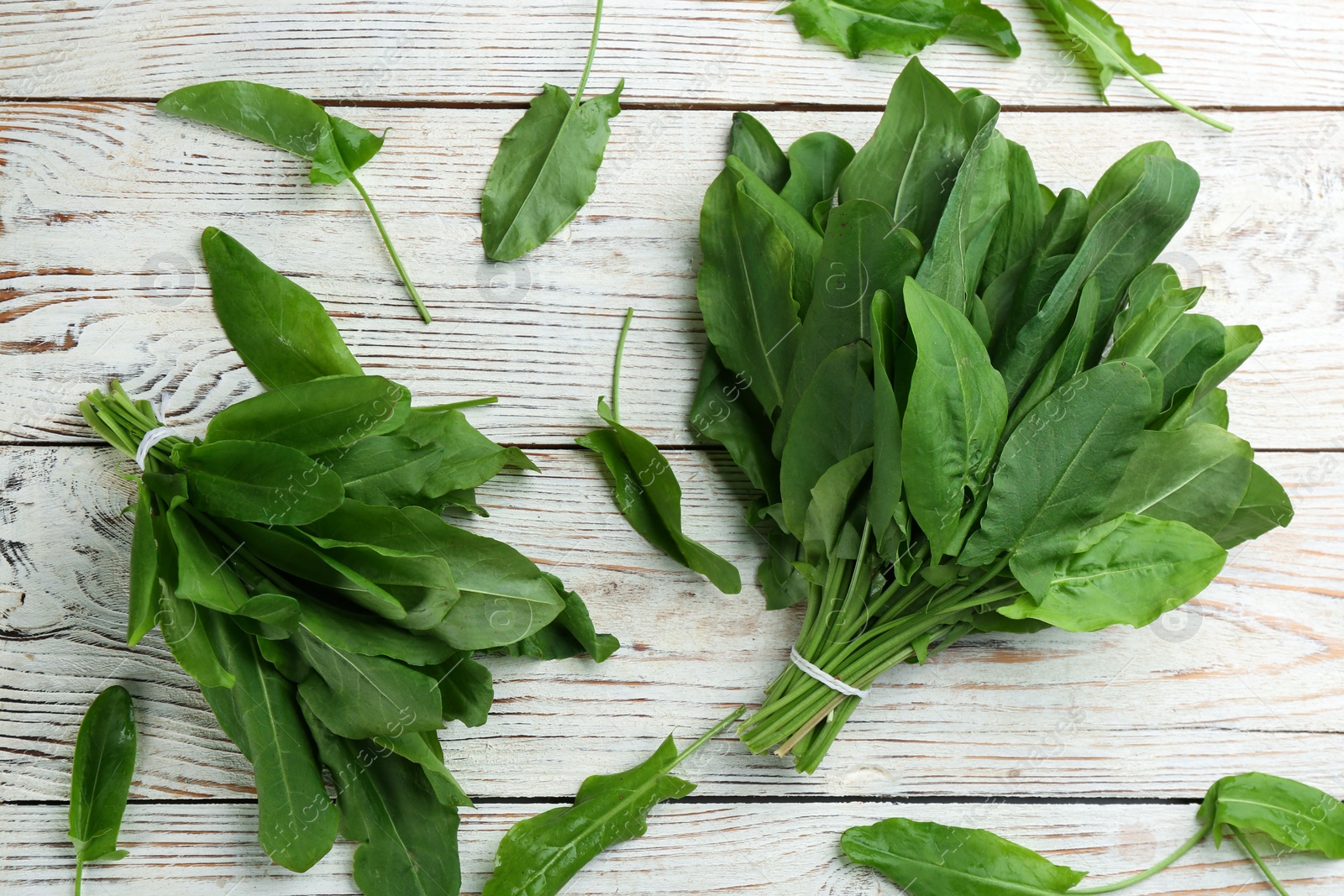 Fresh green sorrel leaves on white wooden table, flat lay Photo of Fresh green sorrel leaves on white wooden table, flat lay