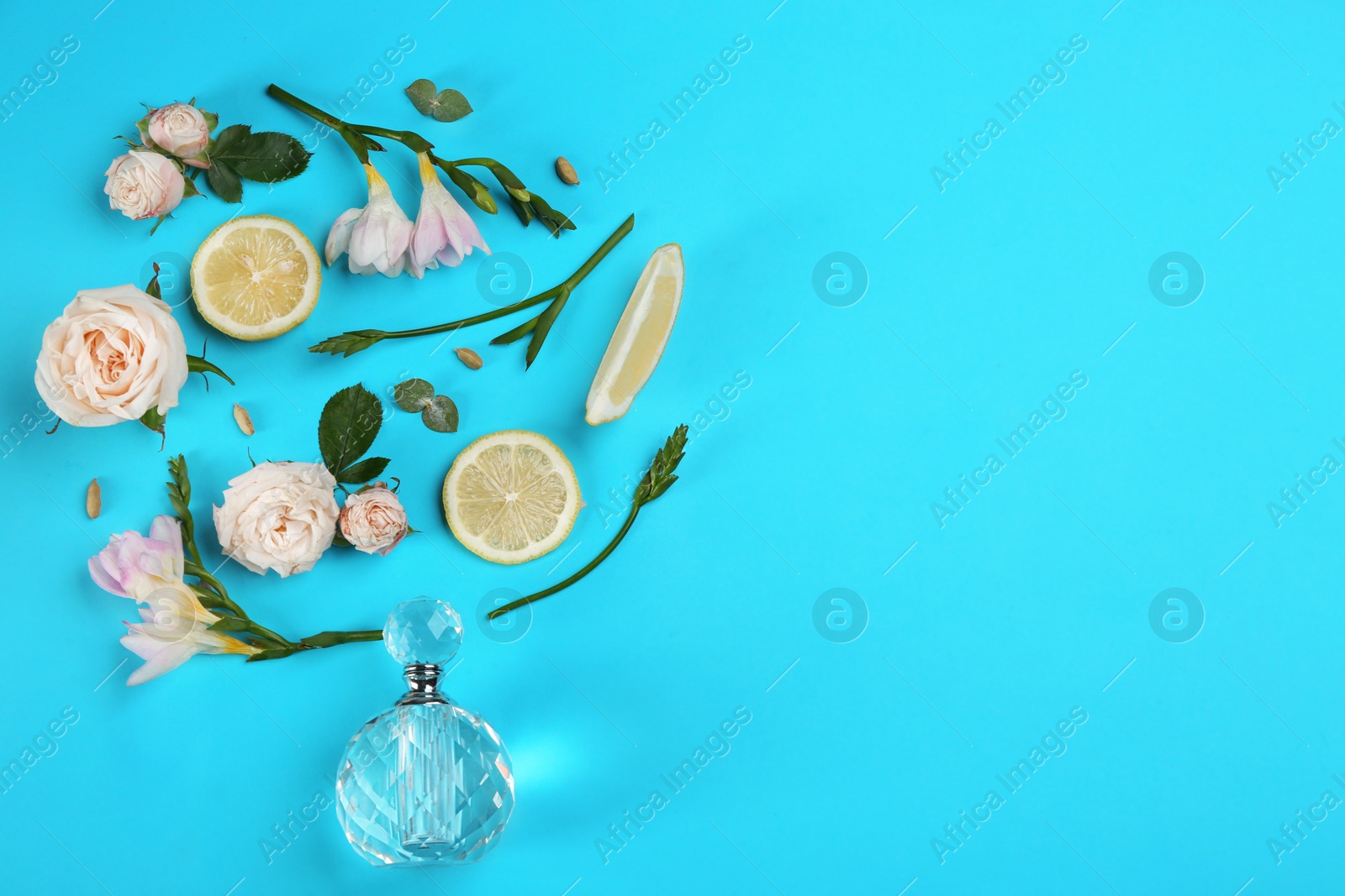 Beautiful flat lay composition with bottle of perfume, lemon and flowers on blue background. Space for text
Photo of Beautiful flat lay composition with bottle of perfume, lemon and flowers on blue background. Space for text