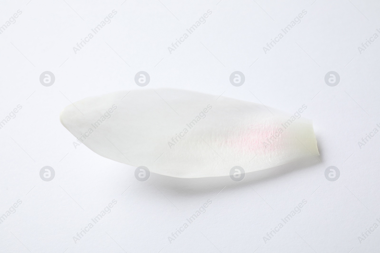 Photo of Beautiful lotus flower petal isolated on white