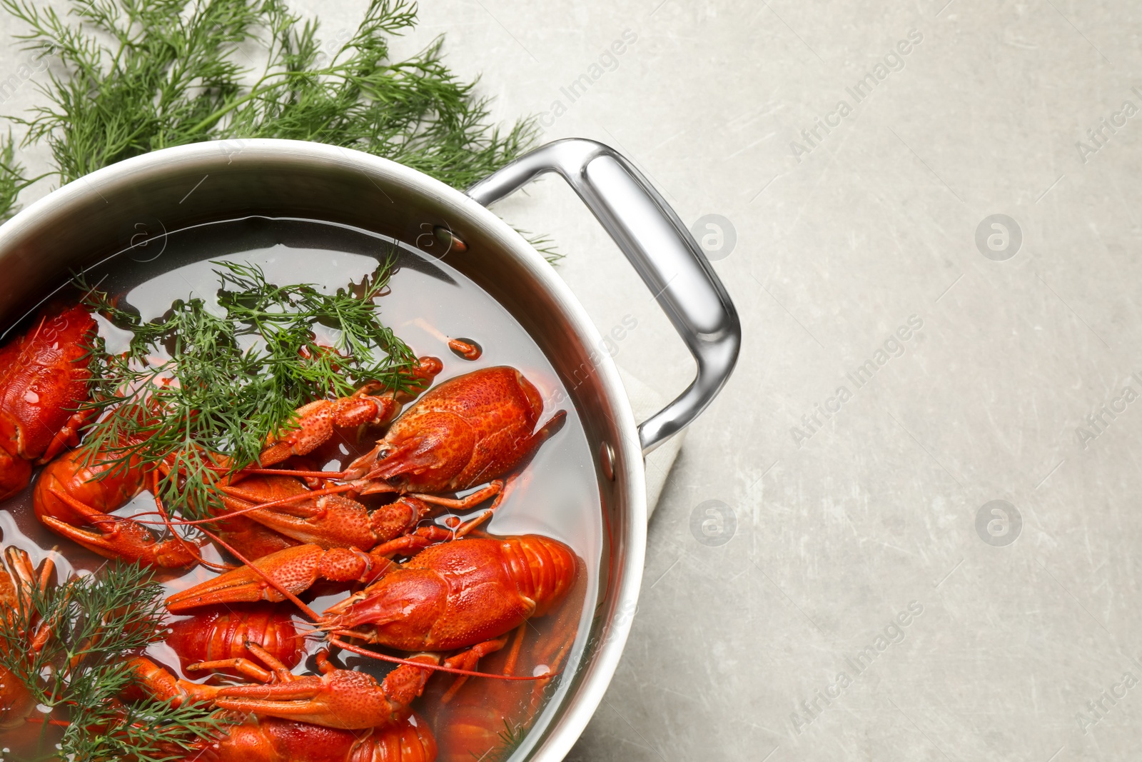 Fresh delicious crayfishes in pot on light grey table, flat lay. Space for text Photo of Fresh delicious crayfishes in pot on light grey table, flat lay. Space for text