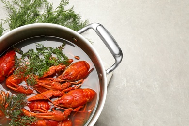 Fresh delicious crayfishes in pot on light grey table, flat lay. Space for text Photo of Fresh delicious crayfishes in pot on light grey table, flat lay. Space for text