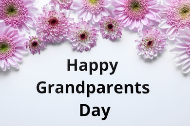 Beautiful violet flowers and phrase Happy Grandparents Day on white background, flat lay Photo of Beautiful violet flowers and phrase Happy Grandparents Day on white background, flat lay