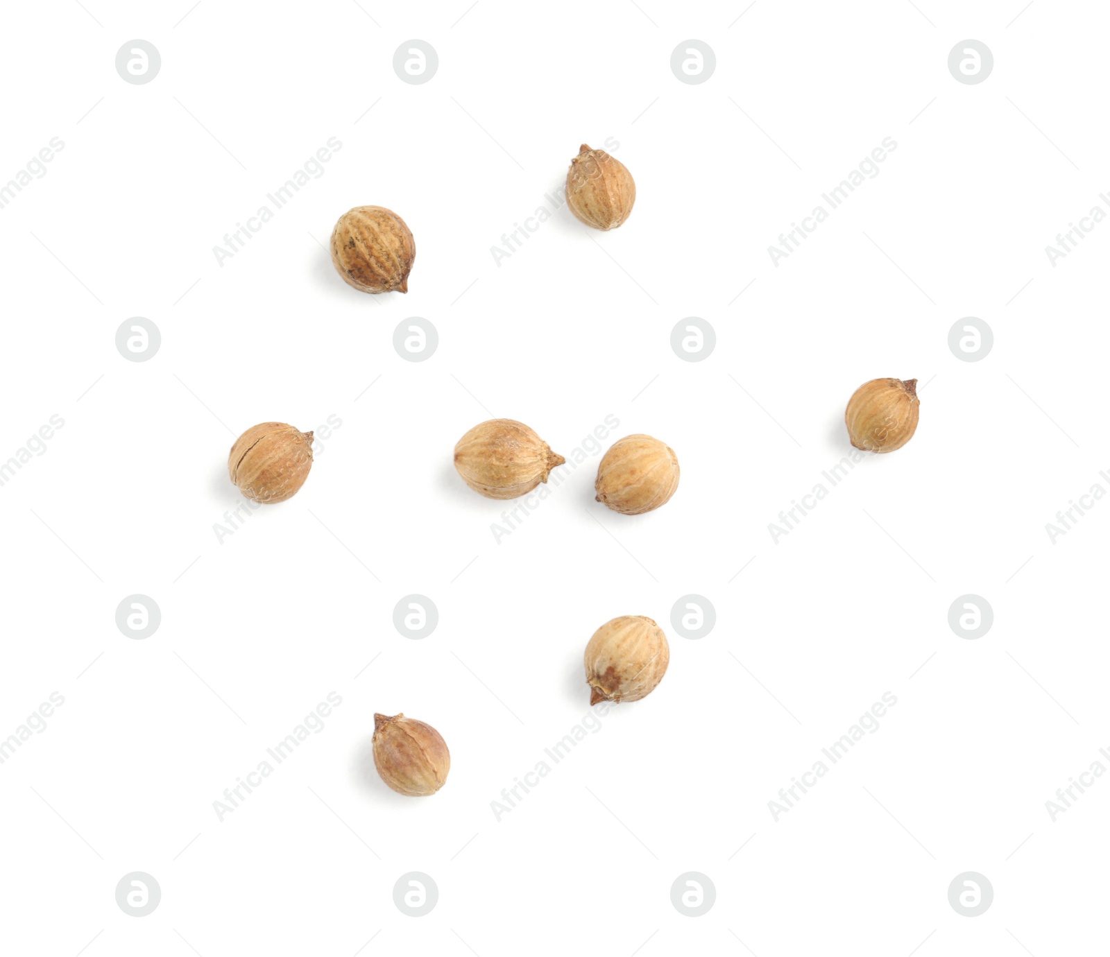Scattered dried coriander seeds on white background, top view Photo of Scattered dried coriander seeds on white background, top view