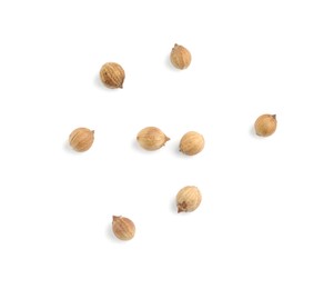 Photo of Scattered dried coriander seeds on white background, top view