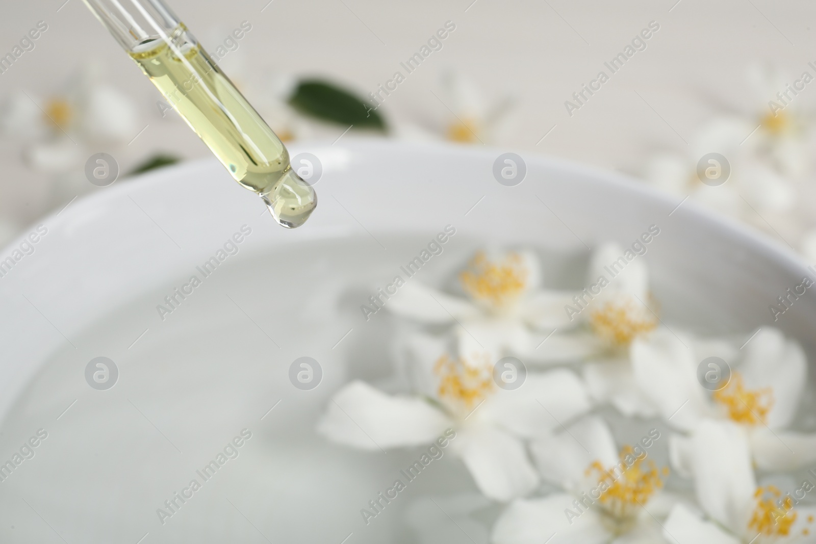 Dripping jasmine essential oil into bowl with flowers, closeup Photo of Dripping jasmine essential oil into bowl with flowers, closeup
