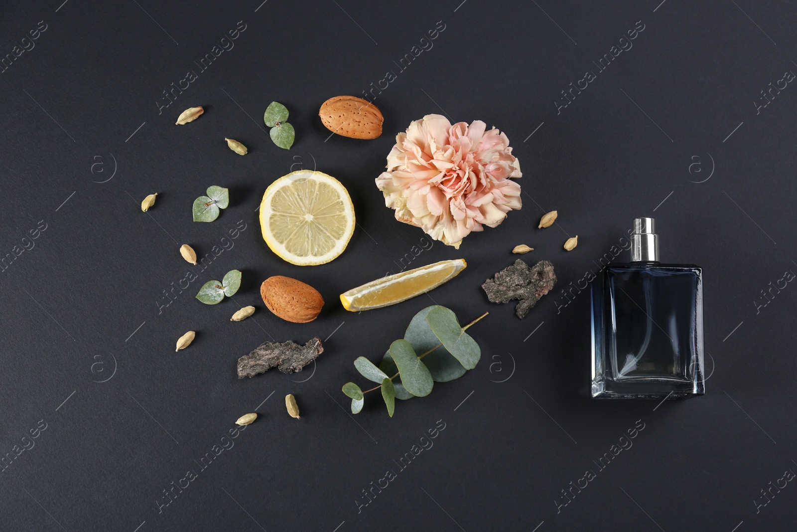 Flat lay composition with bottle of perfume on black background Photo of Flat lay composition with bottle of perfume on black background