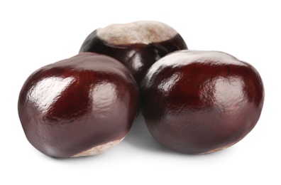 Pile of brown horse chestnuts isolated on white Photo of Pile of brown horse chestnuts isolated on white