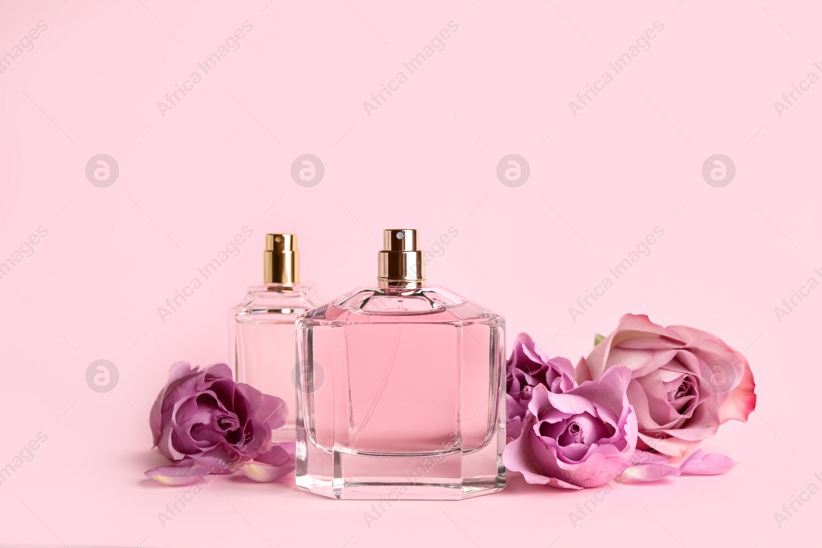 Bottles of perfume and beautiful roses on pink background Photo of Bottles of perfume and beautiful roses on pink background