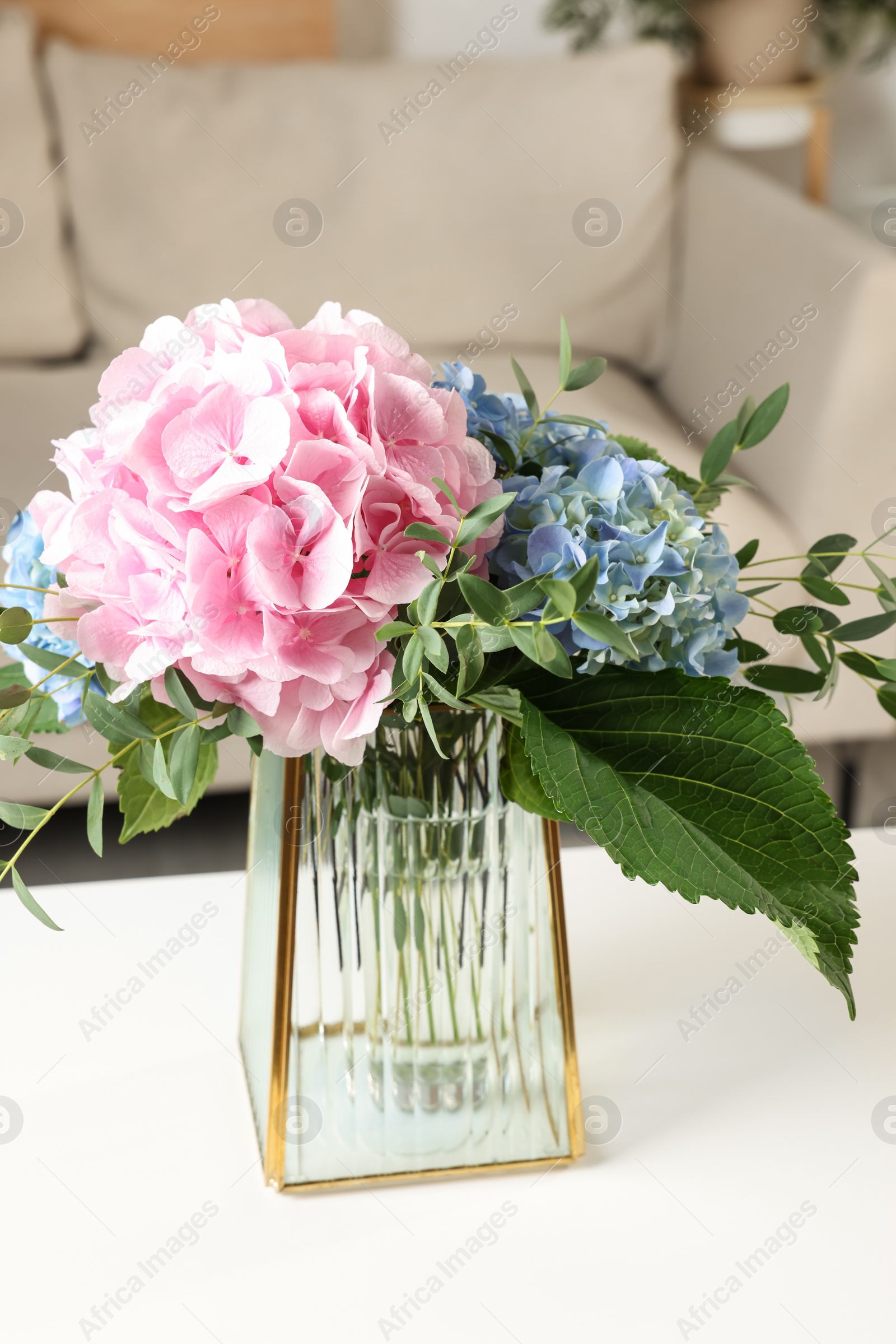 Beautiful hortensia flowers in vase on white table indoors Photo of Beautiful hortensia flowers in vase on white table indoors
